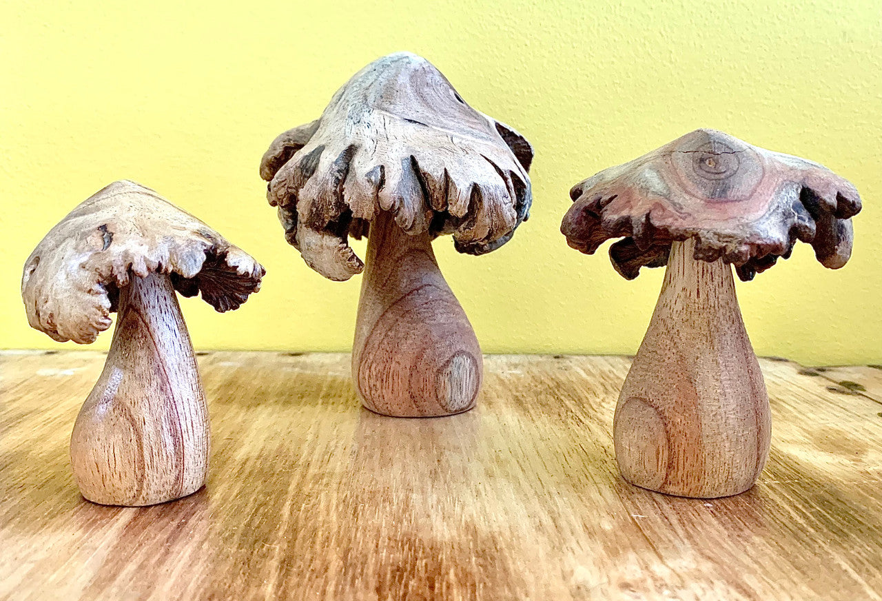 Wood Rose Mushrooms/3pc