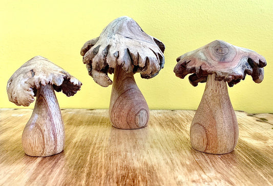 Wood Rose Mushrooms/3pc