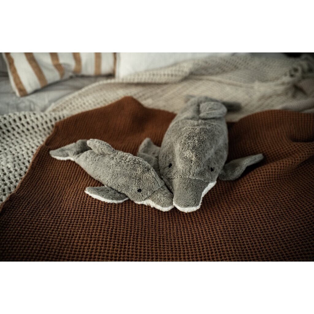 Cuddy Animal Dolphin small