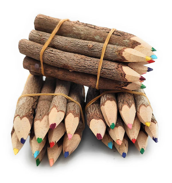 3.5 Inch Jungle Vine Pencils