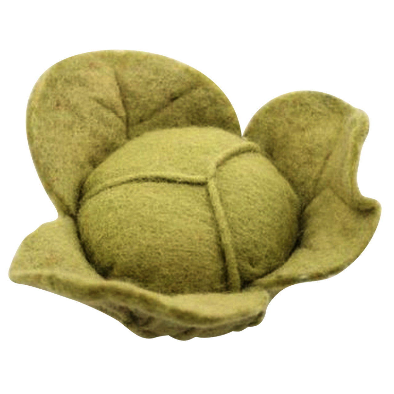 Cabbage/Lettuce