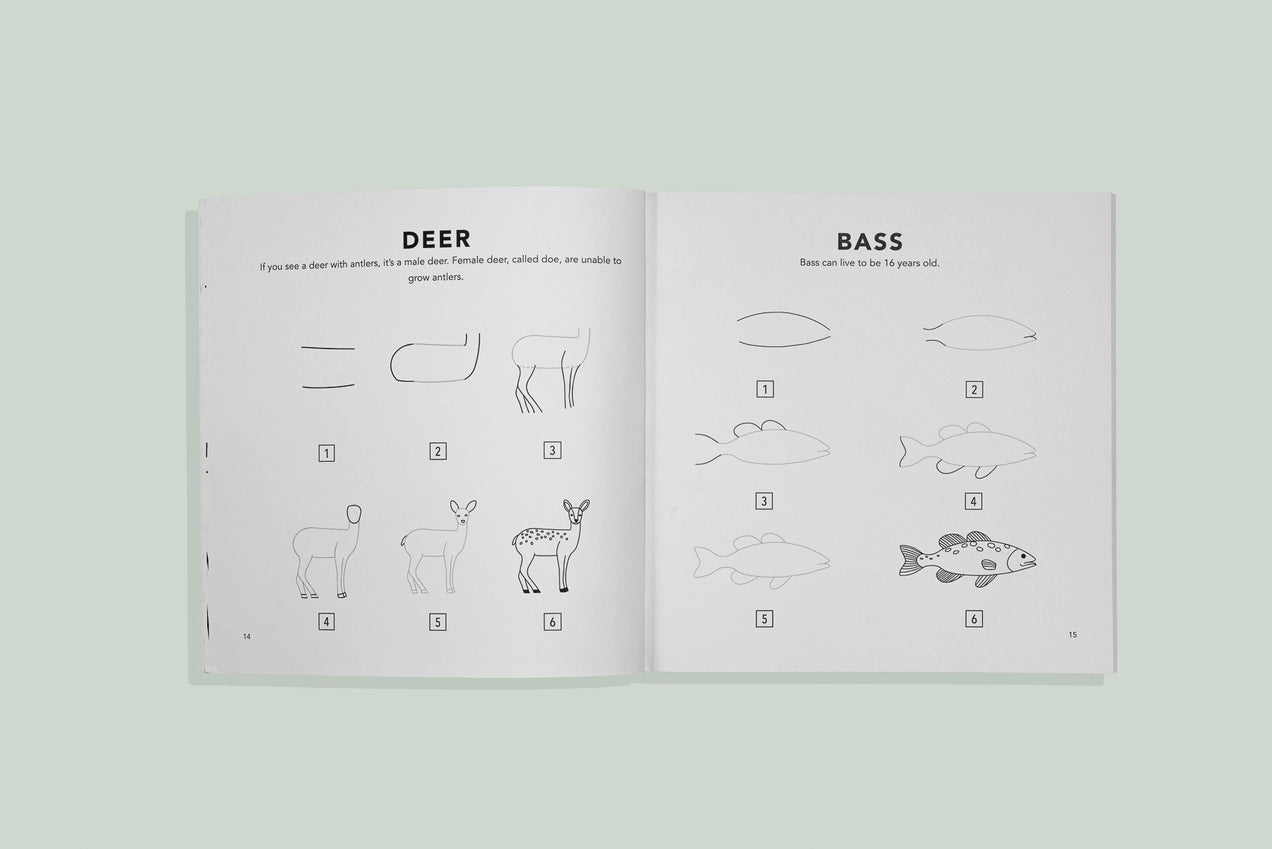 Mushrooms & Woodland Creatures: Kids How To Draw Book