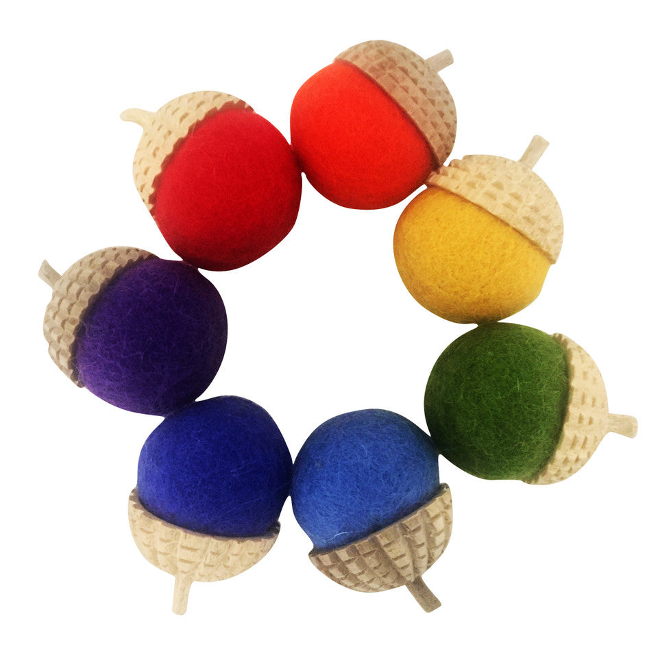 Rainbow Acorn/1pc