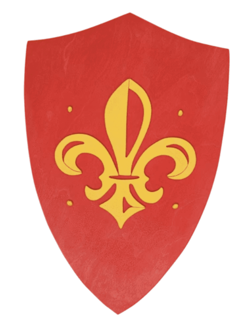 Shield Anjou
