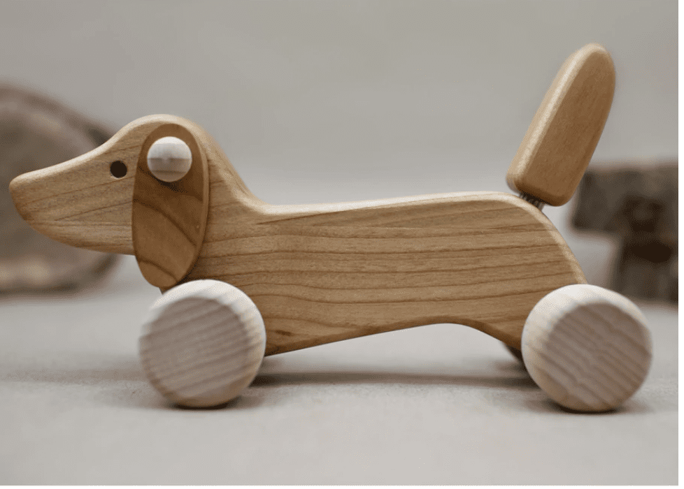 Daschund Puppy