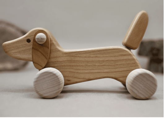 Daschund Puppy