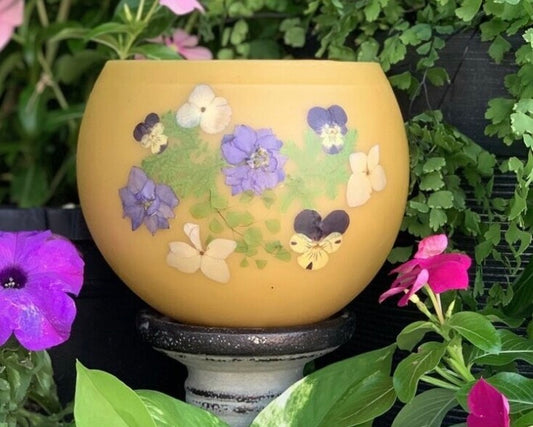 Blue Larkspur S
