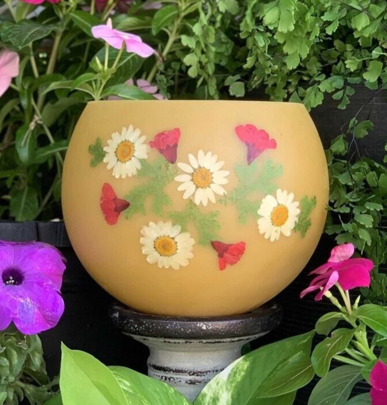 Daisy S
