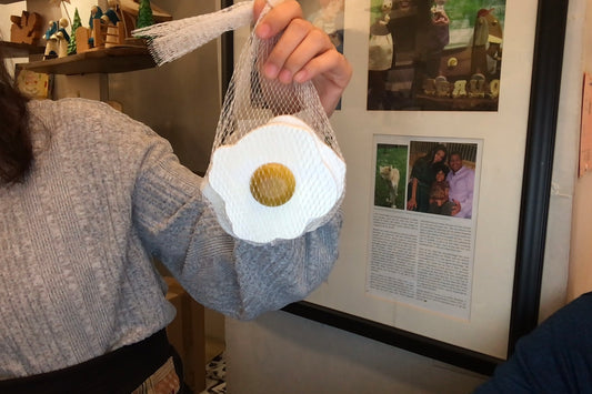 Fried Egg in a Net