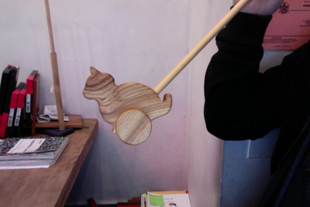 Push toy Cat Lotes