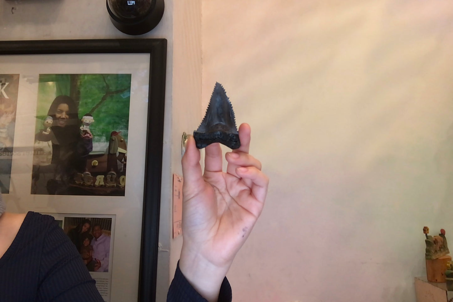 Shark Tooth